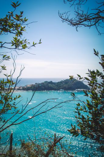 A vertical shot of a seascape seen through thin tree branches