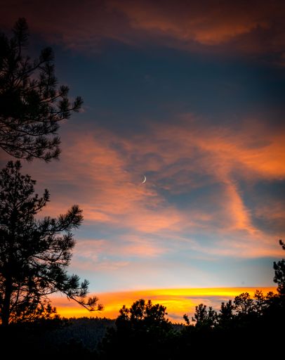 A vertical view of a cloudy sky at sunset with tree silhouettes in the background