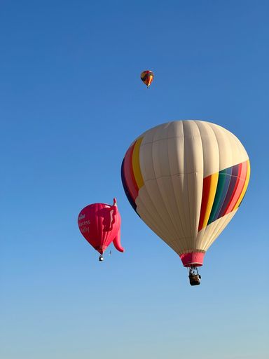 A vertical shot of colorful hot air balloons in a blue sky