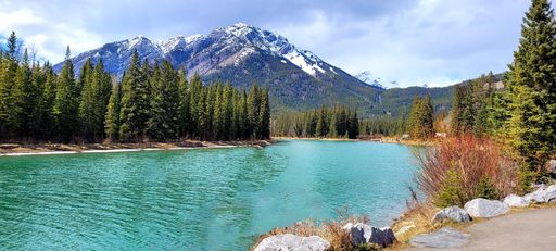 A beautiful landscape of a blue lake surrounded by a forest and a big mountain in the background