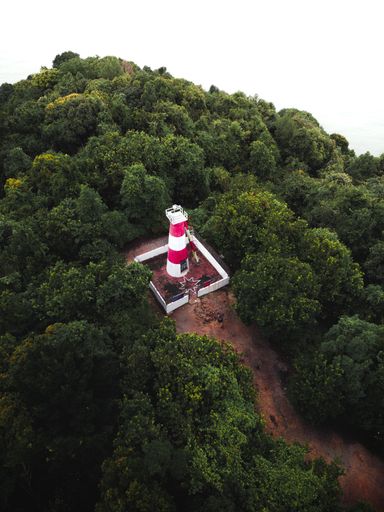 An aerial view of a lighthouse in the middle of dense forests
