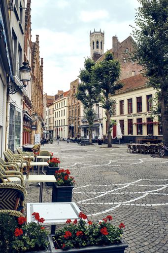 A vertical shot of the beautiful street of the Bruges in Belgium on a clear sky background