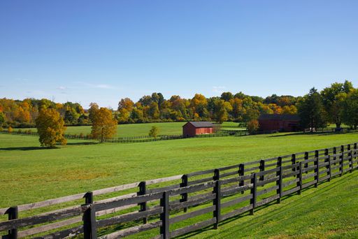 A road covered with green grass surrounded by a fence and trees with a building in the background