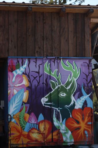 The colorful graffiti street art on the gate, Piatra Fantanele, Romania, vertical