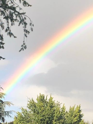 A rainbow in the cloudy sky, vertical