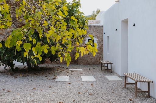 A yard of a house with white exterior walls, benches and a yellow tree