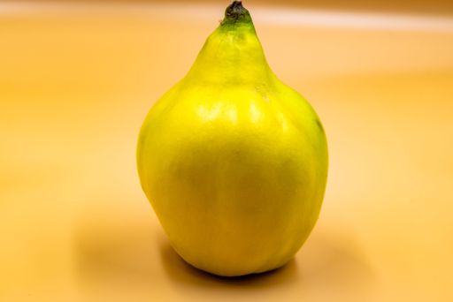 A closeup of a ripe yellow quince isolated on a yellow background