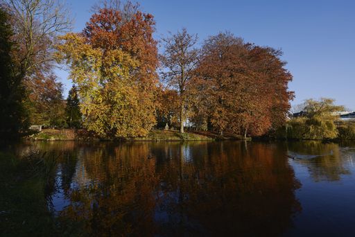 A beautiful scenery of trees reflected in the lake under the blue sky