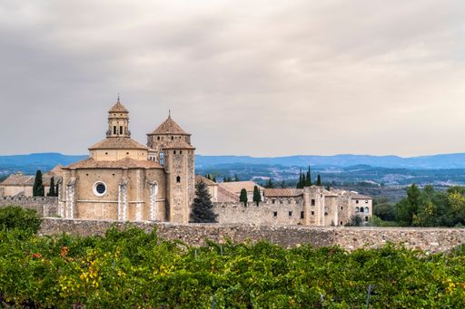 An aerial view of the royal monastery of Santa Maria de Poblet surrounded by vineyards in Tarragona, Spain