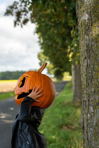 A vertical shot of a person with a pumpkin head.