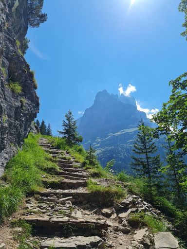 The stairs on the trekking road going up to the mountain in Switzerland, vertical