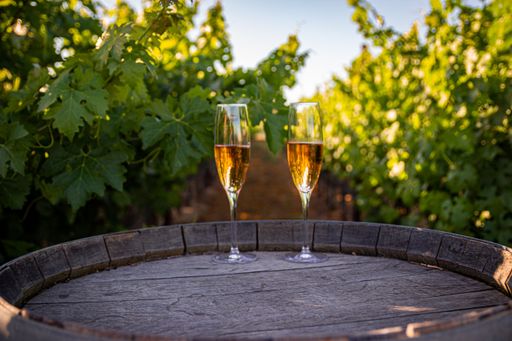 A closeup shot of two glasses of champagne on a wooden barrel in a vineyard in Los Olivos, CA