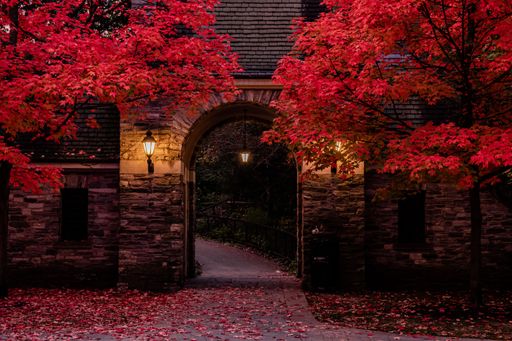 An entrance to park in the fall in the evening