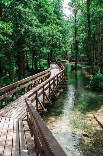 A vertical shot of a wooden bridge in Plivsko jezero surrounded by trees