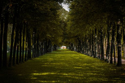 A beautiful walking trail in the park near Schleissheim palace, Munich, Germany