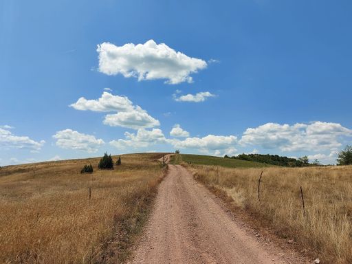 A narrow dusty road in the middle of a field with a blue cloudy sky in the background, Serbia, Tara