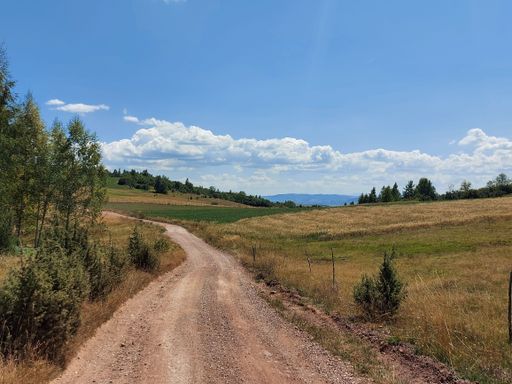 A narrow dusty road in the middle of a field with a blue cloudy sky in the background, Serbia, Tara
