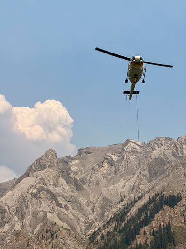 A helicopter in flight over rocky mountains and dark trees under a pale cloudy sky