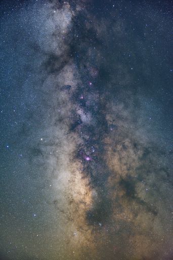 A mesmerizing vertical shot of the starry night sky - great for a wallpaper