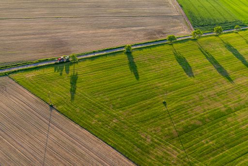A high angle shot of a green landscape near an asphalt road - great for a cool background