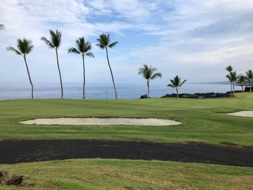 A scenic view of a golf court with palm trees on the coastline