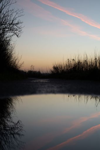 A vertical shot of airplane trails in the sky with green plants shadow and a lake