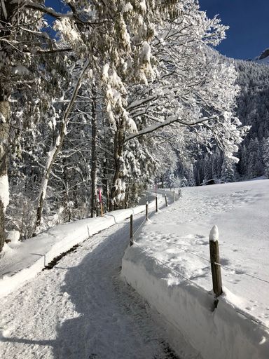 A vertical shot of a road through the mountain covered in snow in