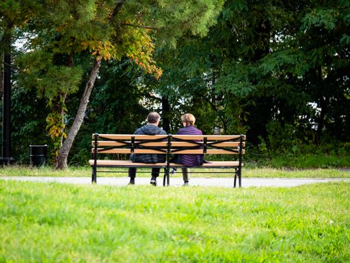 A back view of senior couple sitting on wooden bench in green park in the Bronx, NYC