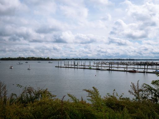 The wooden dock pillars and several boats in the lake seen behind lush green plants on the shore
