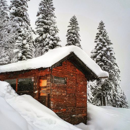 A wooden hut covered by snow in a forest