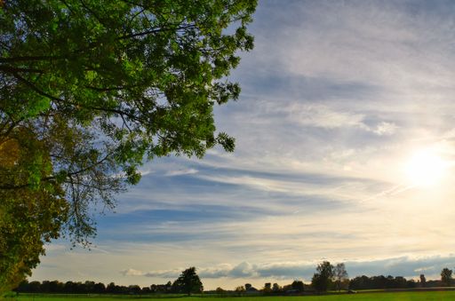 A landscape shot of a park with green tree branches in the foreground under the blue cloudy sky