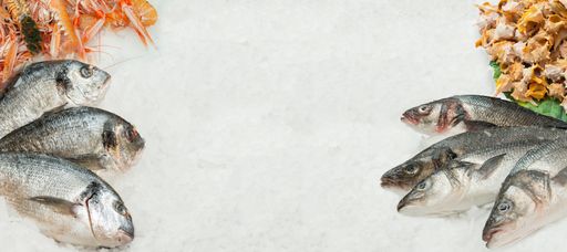 A top view of fresh seafood on ice in the freezer