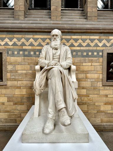 Statue of Charles Darwin at the National History Museum in London England