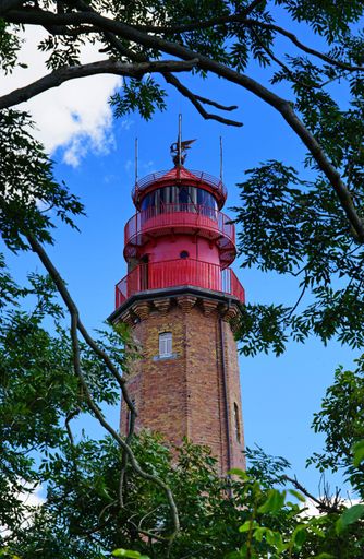 A vertical low angle shot of a lighthouse with red roof behind the branches of a tree