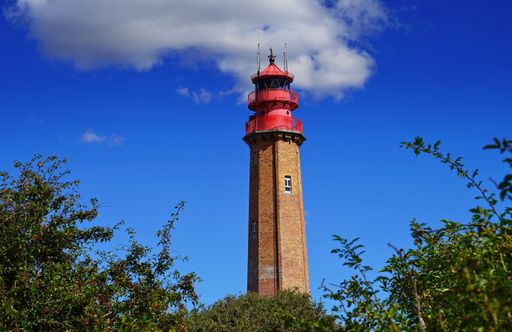 A low angle shot of a lighthouse with red roof behind the branches of a tree