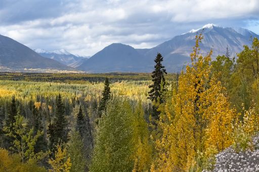 Canada, Yukon, view of the tundra in autumn, with mountains in background, beautiful landscape in a wild country
