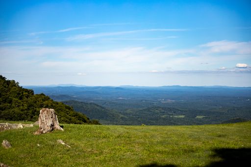 A scenic view of a tree stump on a hill against a green landscape on a sunny day