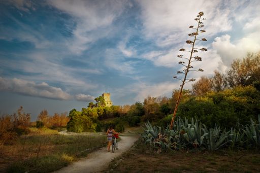 A young female riding a bicycle on a pathway near green plantations under the storm clouds in Silvi Marina, Abruzzi, Italy