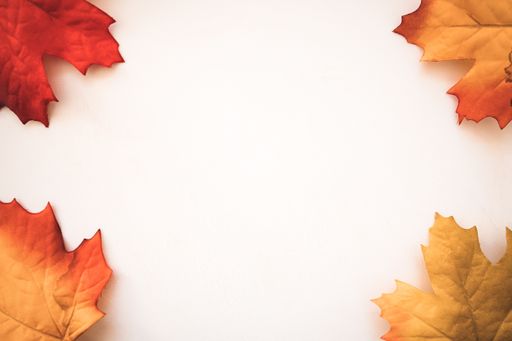 A top view of dried maple leaves on a white surface with copy space