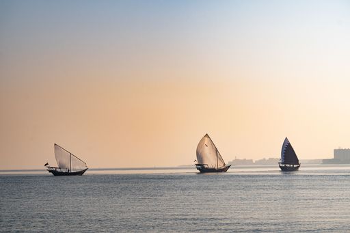 Three dhows sailing in the sea early in the morning near Corniche, Qatar