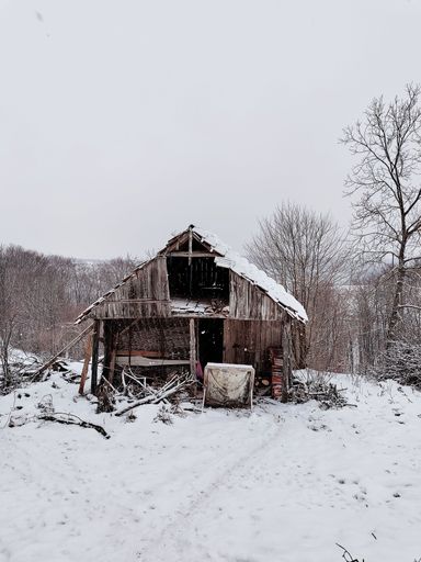 A vertical shot of an old battered log cabin in the winter landscape