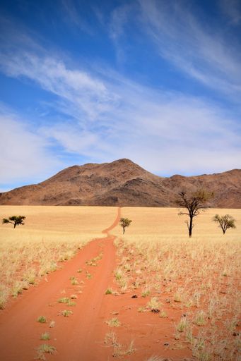 A vertical shot of a Desert Road leading to nowhere