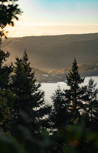 A vertical shot of trees in a forest with a big dam lake in the background around Nideggen town during the sunrise