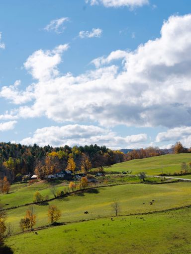A vertical shot of a green field in Vermont, United States in autumn