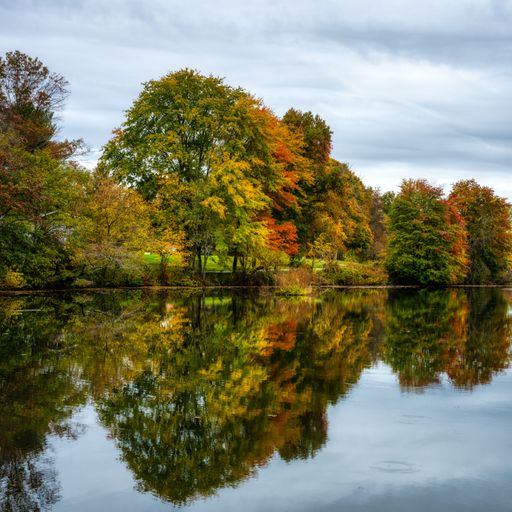 A landscape of beautiful trees in a forest during the fall season reflected in the waters on a cloudy day