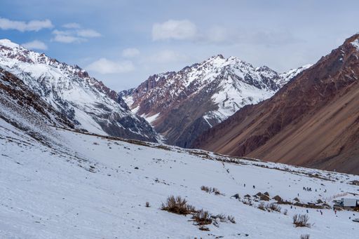 An image of mountains covered by snow and dead plants under the blue sky.