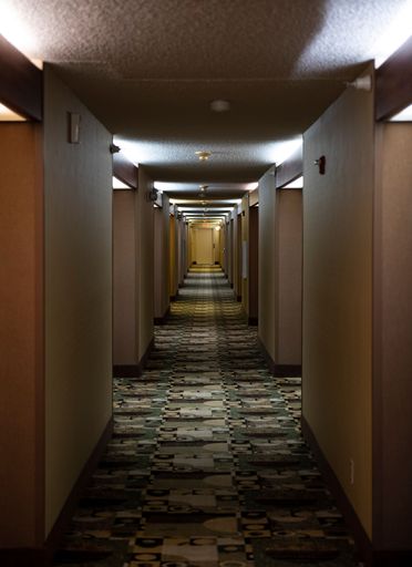 A vertical shot of the long corridor inside a modern hotel