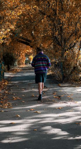 The adult man wearing shorts taking the walk in the autumn park, vertical, back side view