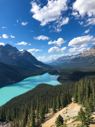 A beautiful view of a river flowing through the green trees and the Canadian Rockies mountain range.