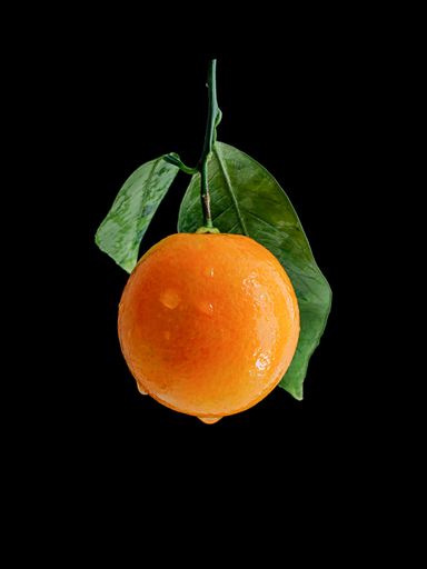 A vertical shot of a red orange on an isolated background
